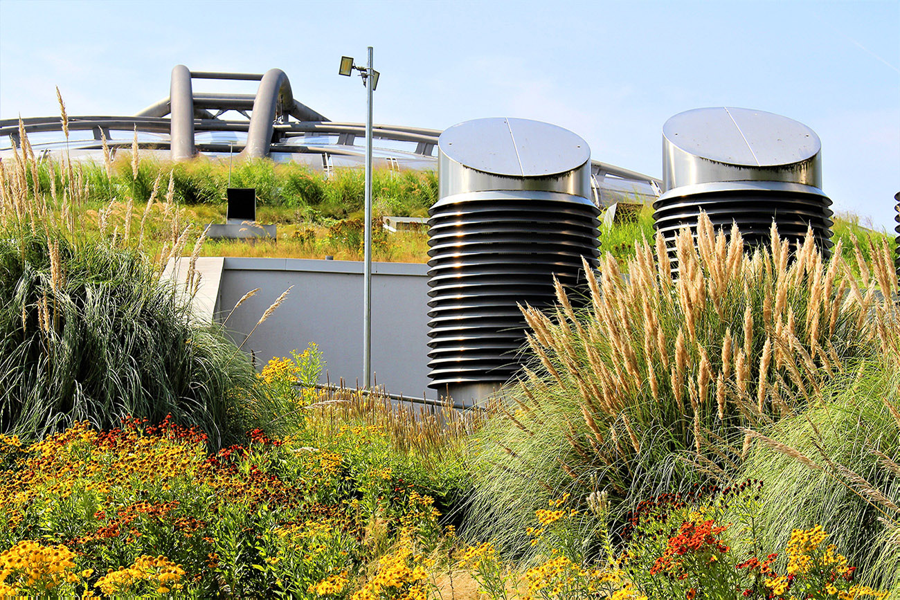 Grüne Dachbegrünung mit bunten Blumen und zwei großen runden Lüftungsrohren auf einem Gebäude